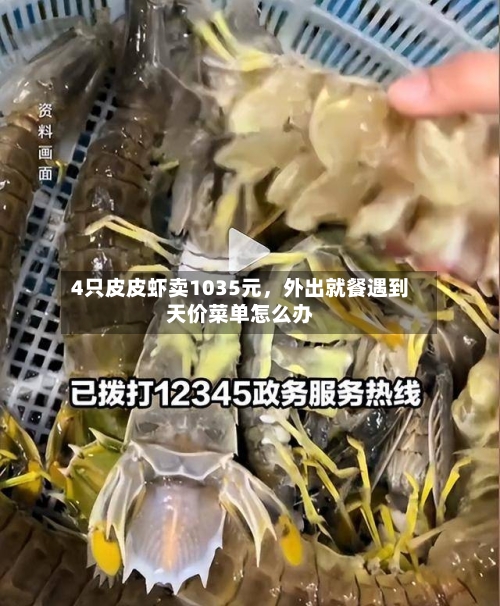 4只皮皮虾卖1035元，外出就餐遇到天价菜单怎么办
