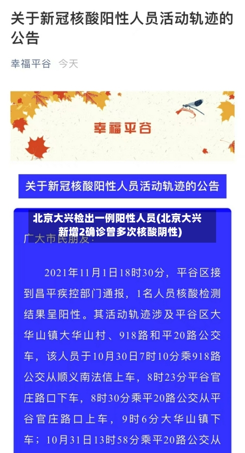 北京大兴检出一例阳性人员(北京大兴新增2确诊曾多次核酸阴性)