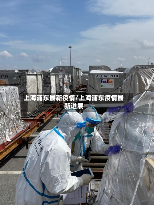 上海浦东最新疫情/上海浦东疫情最新进展