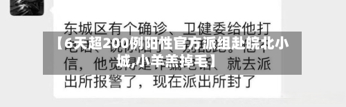 【6天超200例阳性官方派组赴皖北小城,小羊羔掉毛】