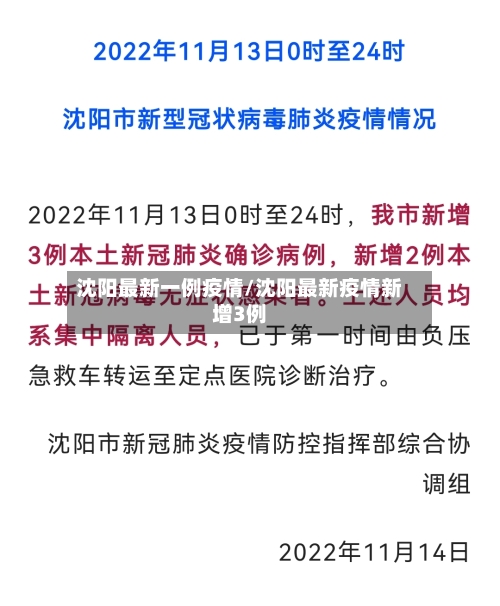 沈阳最新一例疫情/沈阳最新疫情新增3例