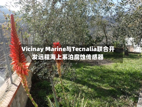 Vicinay Marine与Tecnalia联合开发远程海上系泊腐蚀传感器