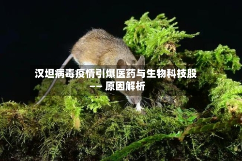 汉坦病毒疫情引爆医药与生物科技股 —— 原因解析