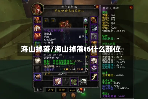 海山掉落/海山掉落t6什么部位