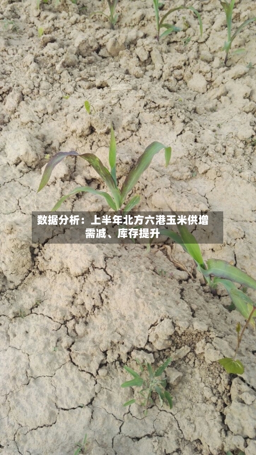 数据分析：上半年北方六港玉米供增需减、库存提升