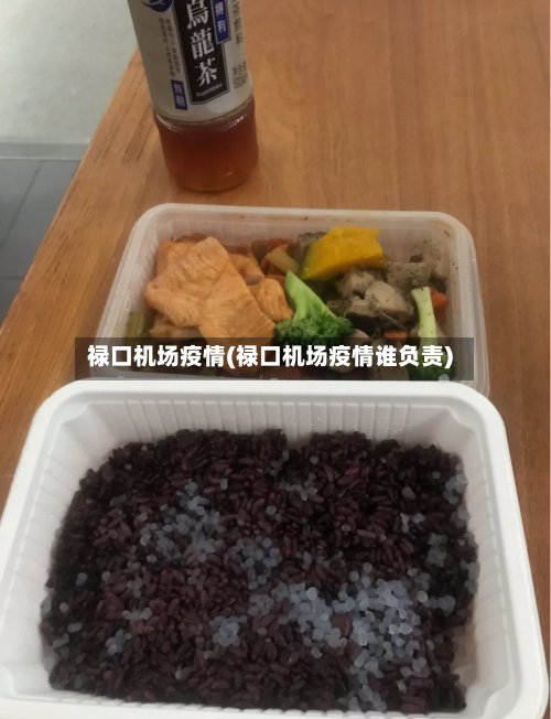 禄口机场疫情(禄口机场疫情谁负责)