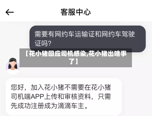 【花小猪回应司机感染,花小猪出啥事了】