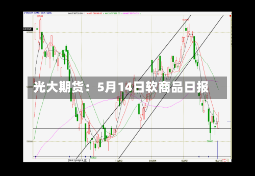 光大期货：5月14日软商品日报