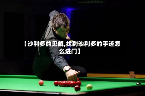 【沙利多的见解,找到沙利多的手迹怎么进门】