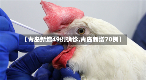 【青岛新增49例确诊,青岛新增70例】