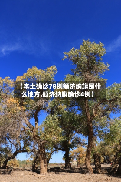 【本土确诊78例额济纳旗是什么地方,额济纳旗确诊4例】