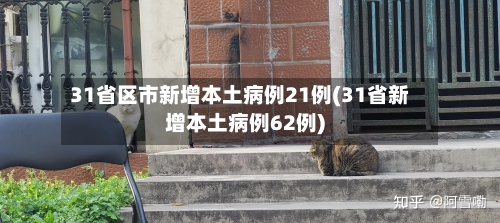 31省区市新增本土病例21例(31省新增本土病例62例)
