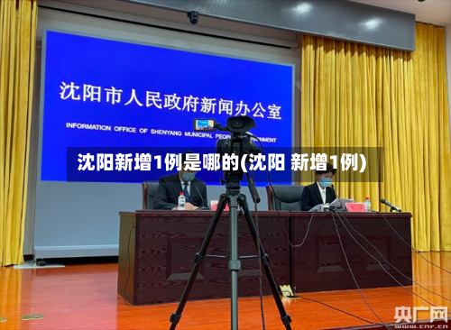 沈阳新增1例是哪的(沈阳 新增1例)