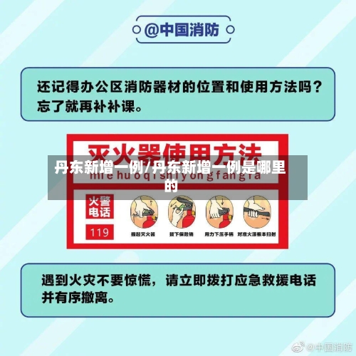丹东新增一例/丹东新增一例是哪里的