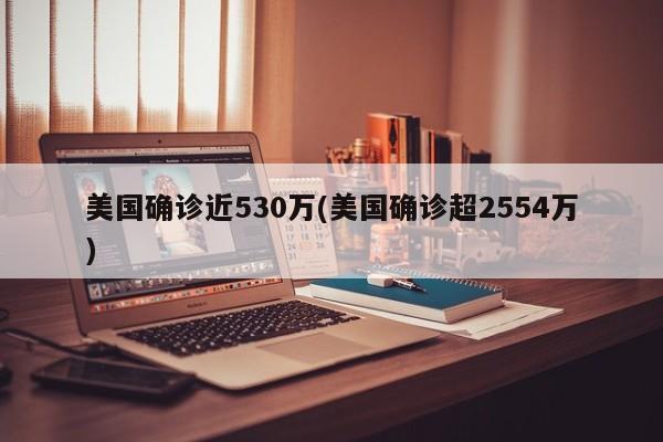 美国确诊近530万(美国确诊超2554万)
